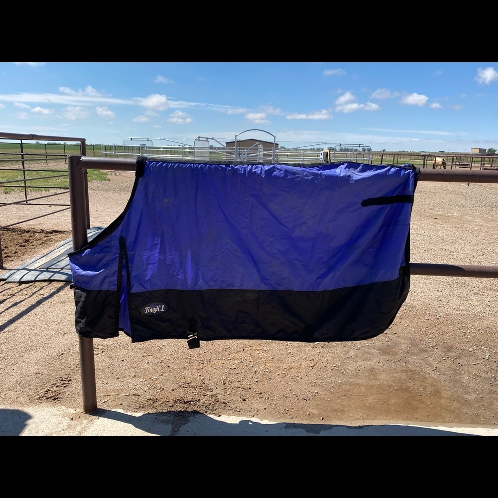 Tough 1 waterproof horse summer sheet